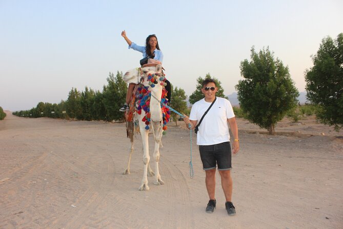 1 Hour horse Ride and Jeep adventure with stargazing -Hurghada - Oasis arrival: tea, safety talk, and getting oriented