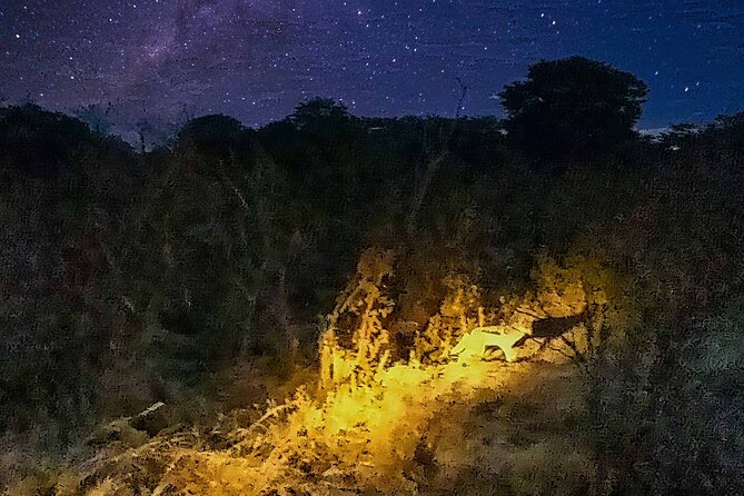 2 Hour Stargazing Tour in Victoria Falls NP Area in 4x4 - The astrophile guide: why the explanation matters as much as the view