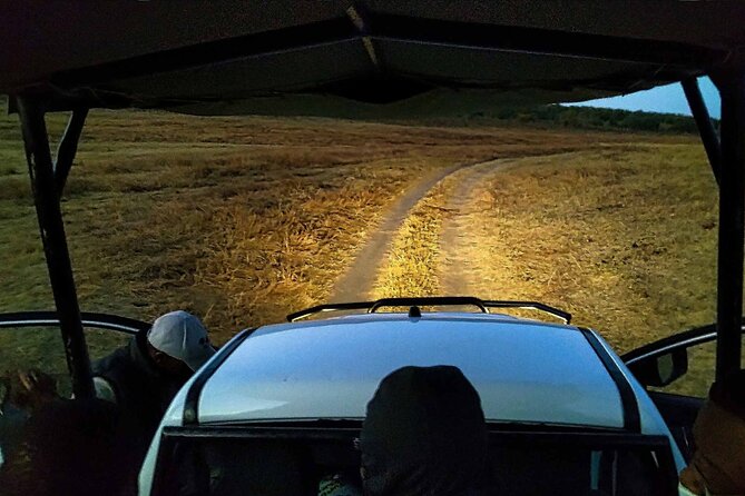 2 Hour Stargazing Tour in Victoria Falls NP Area in 4x4 - Stop 1 in Victoria Falls National Park: dark bush, stars, and flashlight-led noticing