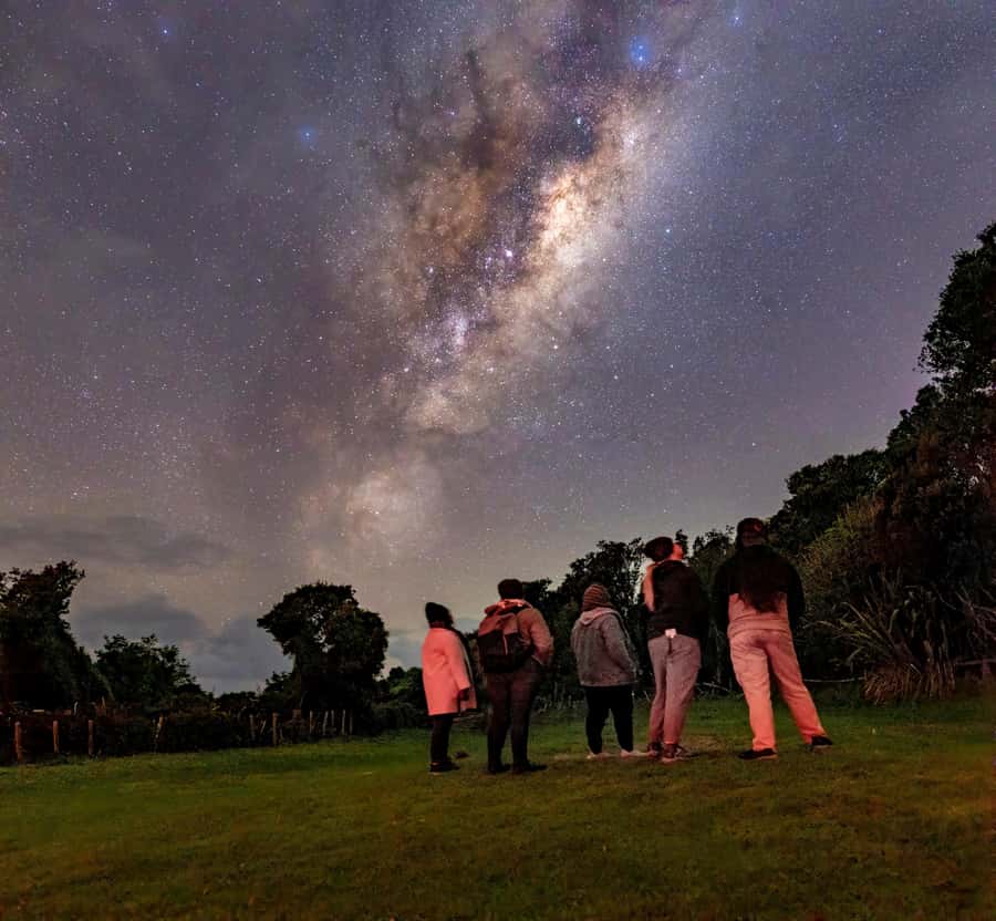 Auckland (Tawharanui): Wild Kiwi Bird Spotting Encounter - Quick hits: what makes this kiwi-night special
