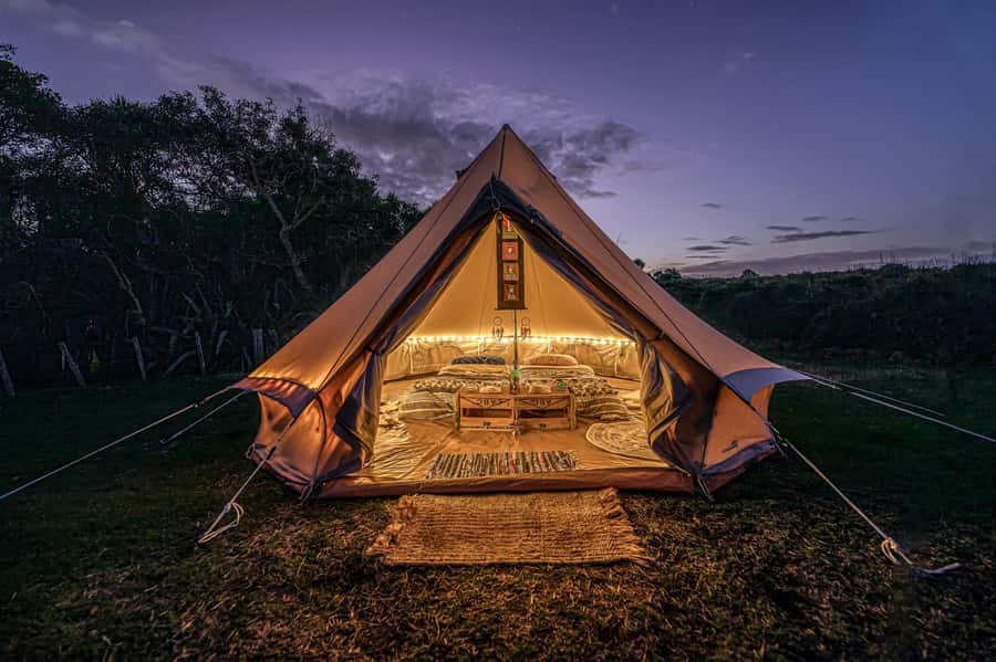 Auckland (Tawharanui): Wild Kiwi Bird Spotting Encounter - The night sky part: stars, planets, and Southern constellations