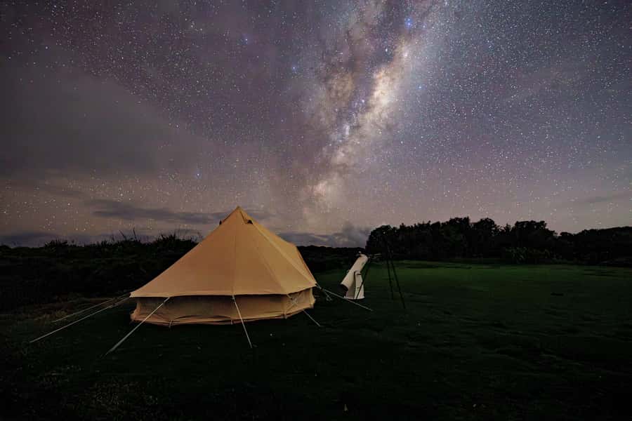Auckland (Tawharanui): Wild Kiwi Bird Spotting Encounter - Who should book this kiwi-night (and who might not love it)