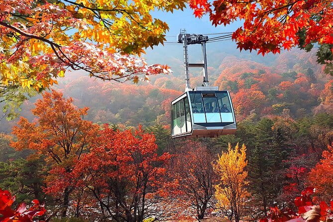 Autumn Foliage-Mt. Seorak, Sokcho Fish Market, Sokcho Beach - Why Seorak and Sokcho work together on an autumn day trip