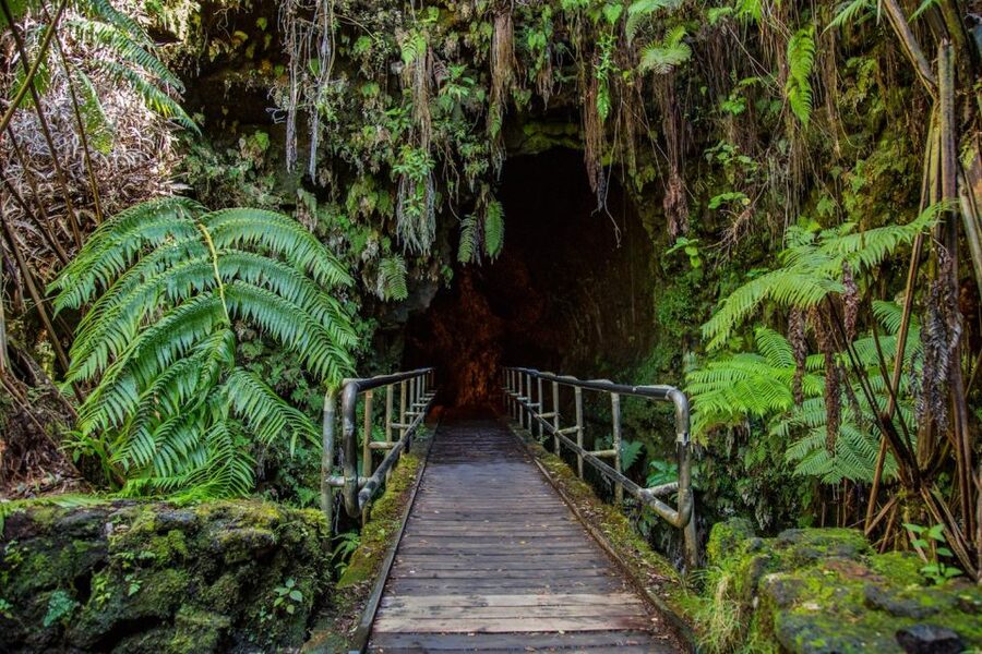 Big Island, Hawaii: Volcano and Stargazing Tour with Dinner - Price and value: is $297 per person fair for what you get?