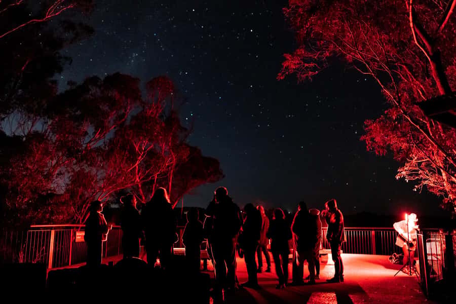 Blue Mountains: Stargazing with a Telescope and Astronomer - Telescope views: what you might see, and why it matters