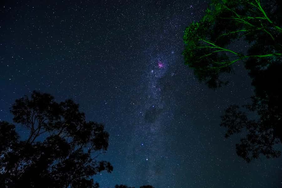 Blue Mountains: Stargazing with a Telescope and Astronomer - Who this tour suits best