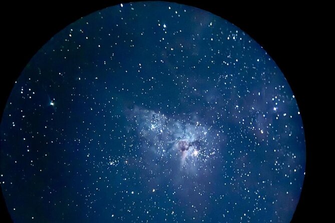Brisbane: Glow Worms, Sunset, Telescope Stargazing & Dinner - Price and Value: Is $142.01 Worth It?