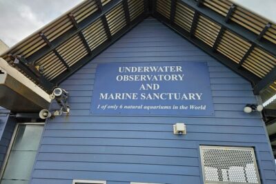 Busselton Jetty and Underwater Observatory - Pickup and drive: early start through Mandurah, Bunbury, and Capel