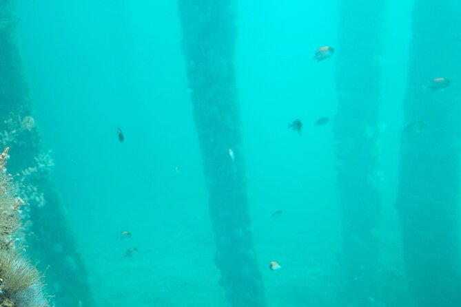 Busselton Jetty and Underwater Observatory - The guide touch: when service is more than driving