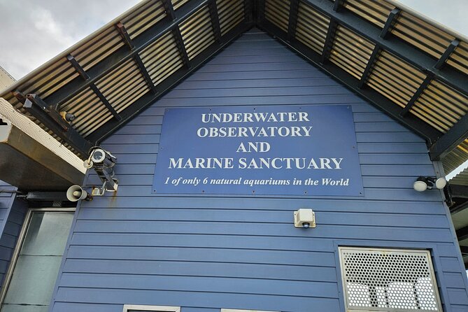 Busselton Jetty and Underwater Observatory - Pickup and drive: early start through Mandurah, Bunbury, and Capel