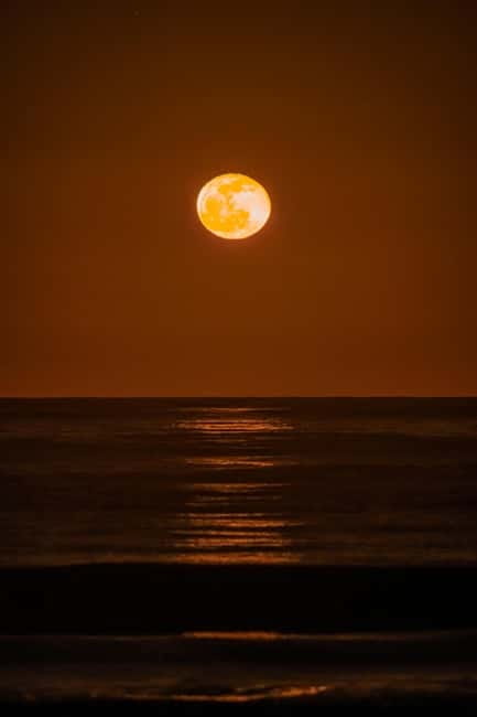 Cabo de Gata: Guided Night Walk with Stargazing - FAQ