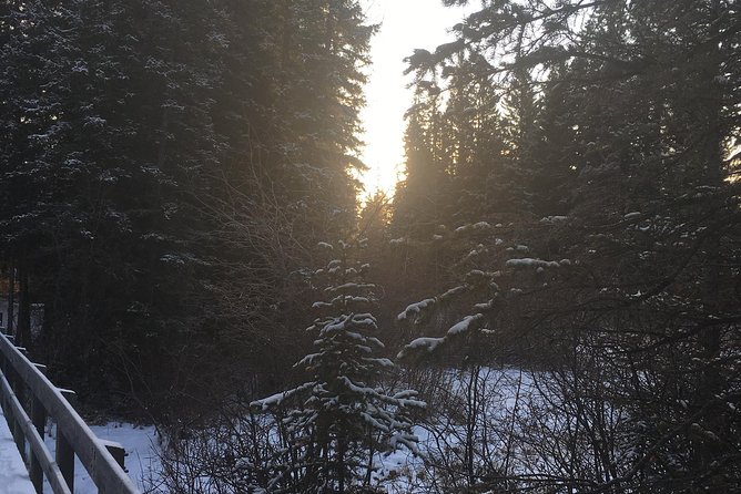 Canmore: Stargazing and Nature by Nightfall Walking Tour - 2hr - Weather Reality: What Happens If It’s Cloudy