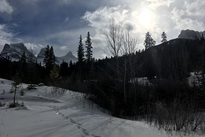 Canmore: Stargazing and Nature by Nightfall Walking Tour - 2hr - Price and Value: Is $69.81 Worth It?
