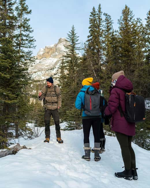Canmore: Stargazing and Night Adventure - Things to bring (so the cold doesn’t bully your stargazing)