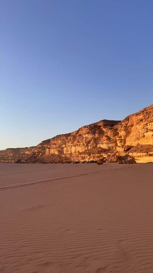 ( canyon hurghada & stargazing ) - Dinner at the Oasis: Cozy Food, Practical Atmosphere