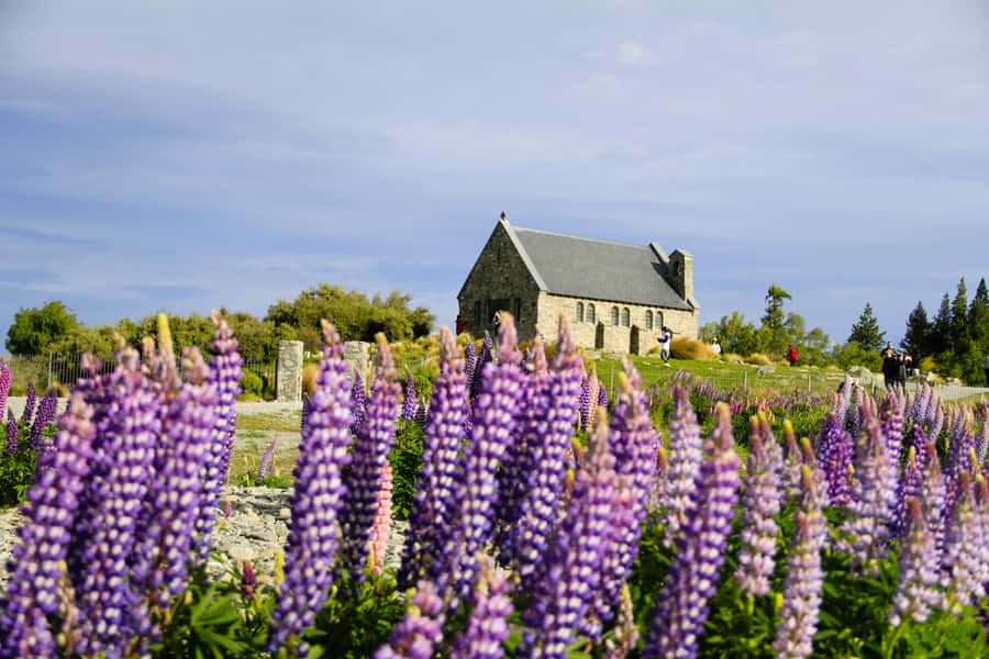 Christchurch: Lake Tekapo Stargazing & Mount Cook 2-Day Tour - Key things I think you’ll care about most
