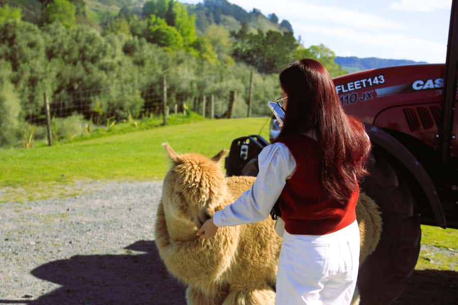 Christchurch: Lake Tekapo Stargazing & Mount Cook 2-Day Tour - Lake Pukaki and the Lavender Farm: More Than Just Photo Stops
