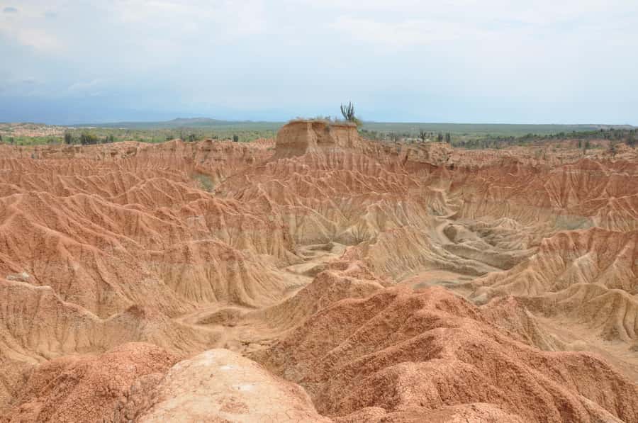 Day Trip to Tatacoa Desert (Horseback, Boat, Stargazing, ..) - Should you book the Tatacoa Desert horseback, river, and stargazing day trip?