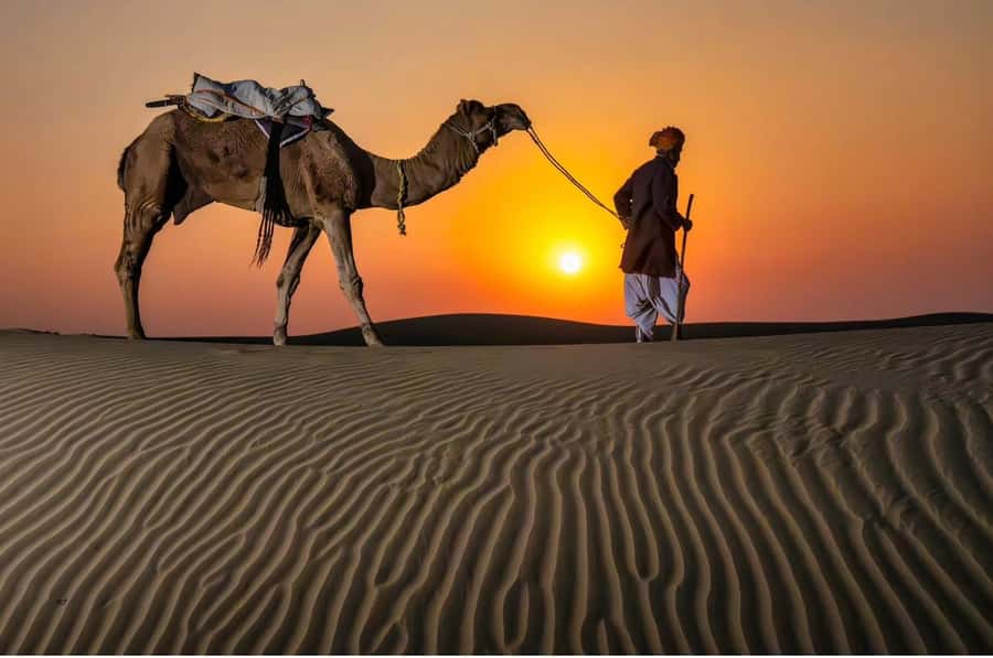 Doha Night Desert Safari Stargazing And Camel Ride - Key things I’d circle before you go