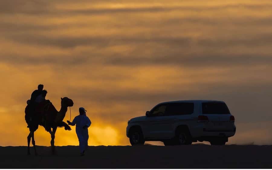 Doha Night Desert Safari Stargazing And Camel Ride - Inland Sea again: free time and swimming before the stars