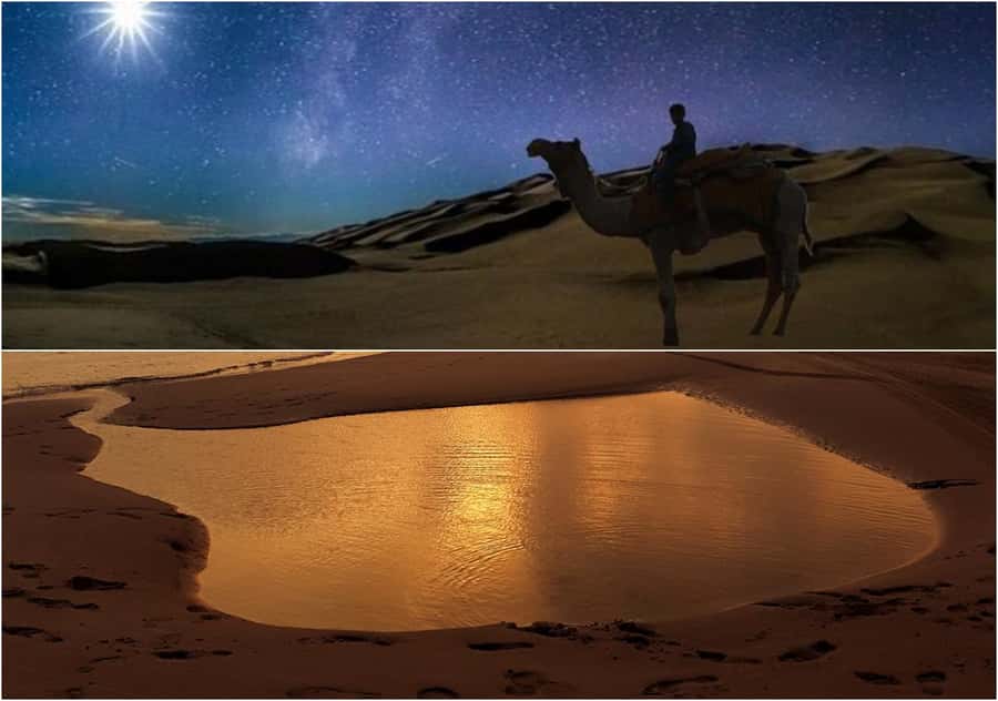 Doha Night Desert Safari Stargazing And Camel Ride - Price and value: what $24 buys you in real terms