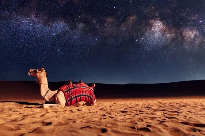Doha Night Desert Safari Stargazing Camel Ride and Dune Bashing - How this 4-hour night safari works (and why it feels efficient)