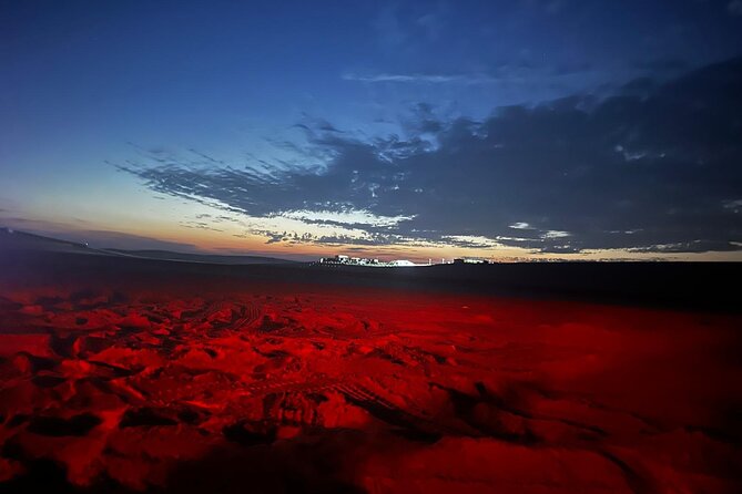 Doha Night Desert Safari Stargazing Camel Ride and Dune Bashing - Sealine Beach camel and tea camp: culture with an easy pace