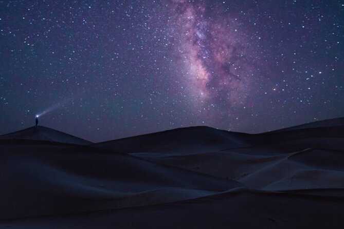 Doha Night Desert Safari Stargazing Dune Drive Camel Ride - Doha night desert safari: why the timing + locations work