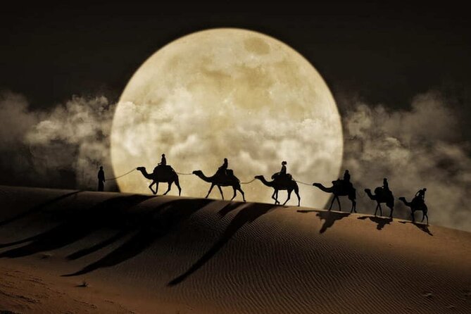 Doha Night Desert Safari Stargazing Dune Drive Camel Ride - The 4x4 ride and dune drive: what to expect from the thrill
