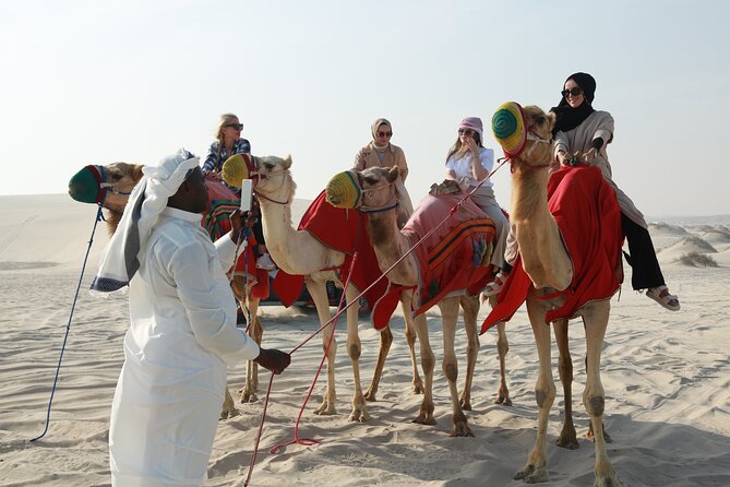 Doha Night Desert Safari Stargazing Dune Drive Camel Ride - Camel ride + dune bashing: balancing classic and action-packed