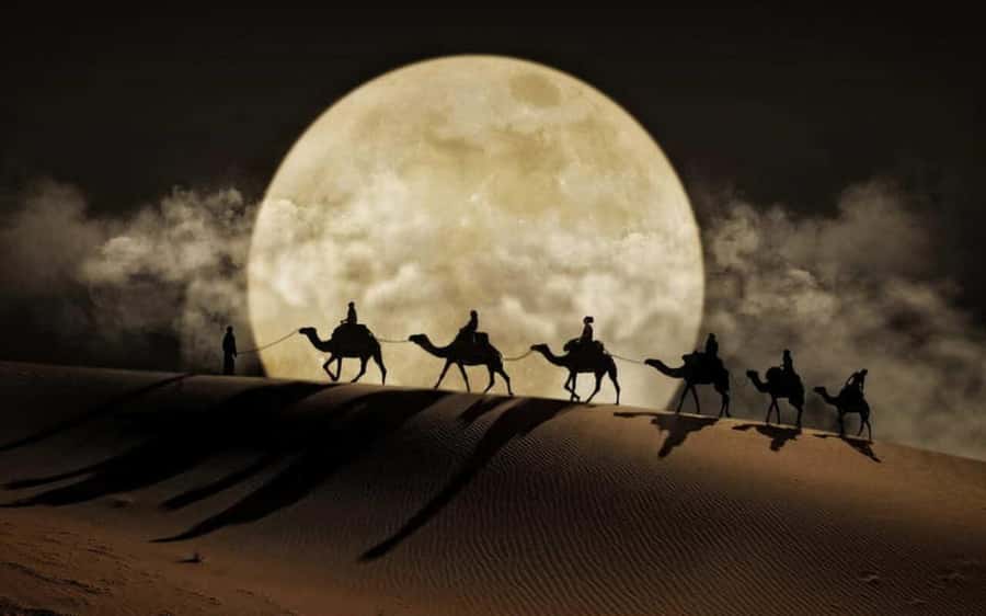 Doha: Night Desert Safari, Stargazing, Dune Driving &Inland - The main event: dune bashing in two strong sessions