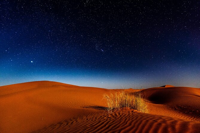 Doha Night Desert Safari, Stargazing, Photography، Relaxation - Sandboarding and Camel Ride Options: Choose Your Style