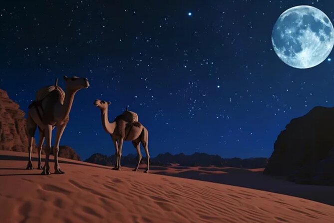 Doha Night Desert Safari, Stargazing, Photography، Relaxation - Value Check: Is $77.50 Worth It?