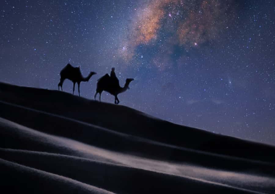 Doha: Night Desert Safari with Stargazing & Camel Ride - Guides who make the difference: punctual pickup, clean rides, helpful photo tips