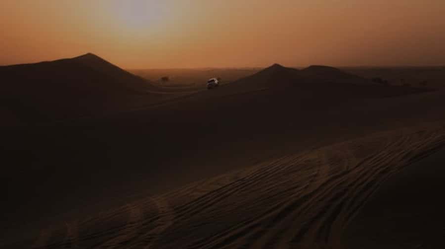 Doha: Night Desert Safari with Stargazing & Camel Ride - Who should book, and who should skip dune bashing