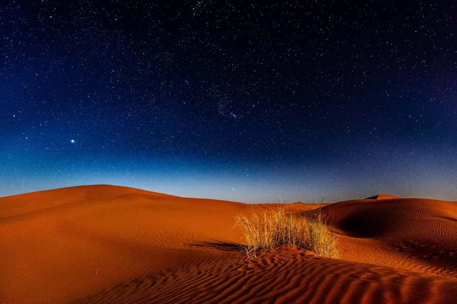 Doha: Private Desert Safari at Night with Stargazing - Key things to know before you go