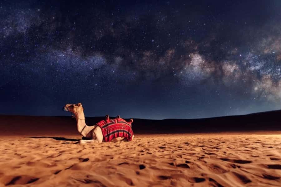Doha: Private Desert Safari at Night with Stargazing - Getting Picked Up in Doha: Easy Start, Real Desert Time