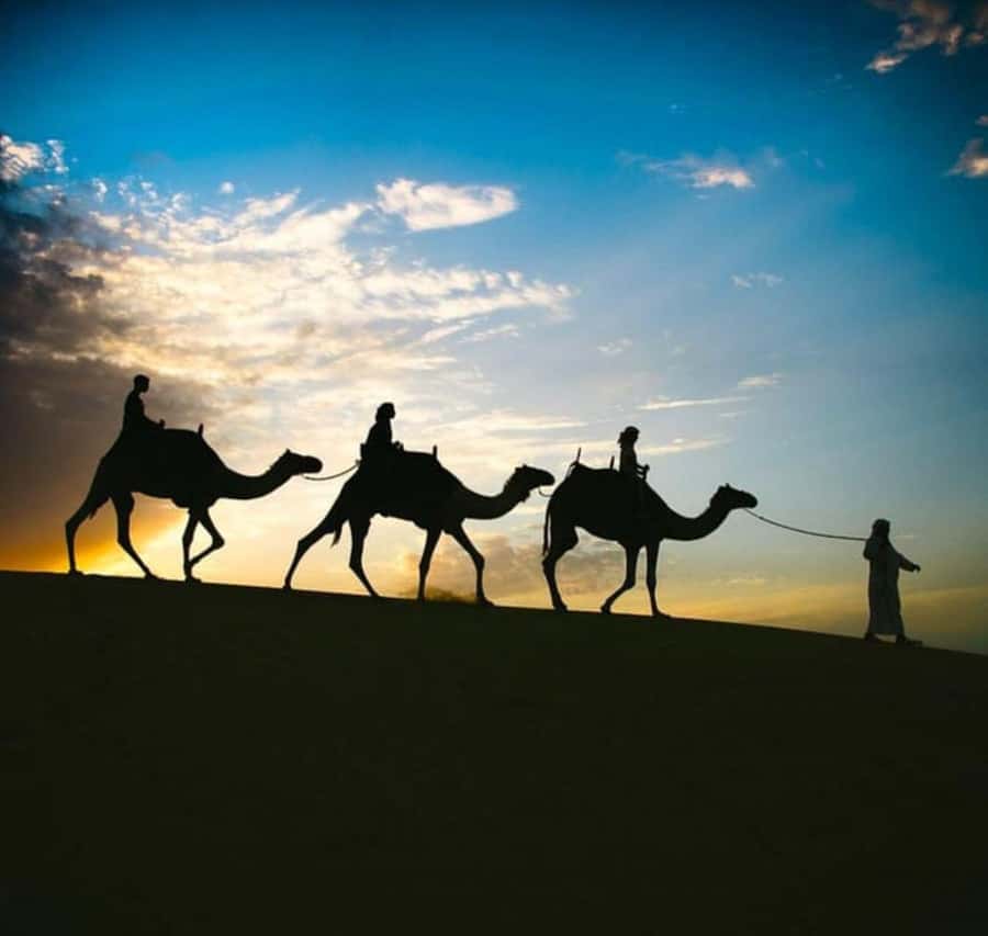 Doha: Stargazing Desert Safari w/ Dune Bashing & Camel Ride - Key things I’d focus on before you go