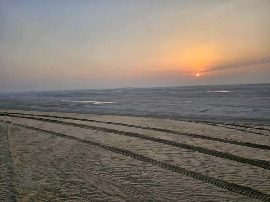 Doha Sunrise/Sunset or Night Stargazing desert safari. - Why Doha’s Night Desert Safari Feels Different After Dark