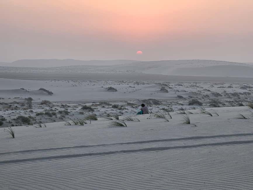 Doha Sunrise/Sunset or Night Stargazing desert safari. - The Camel Ride: A Slower Desert View Between Thrills