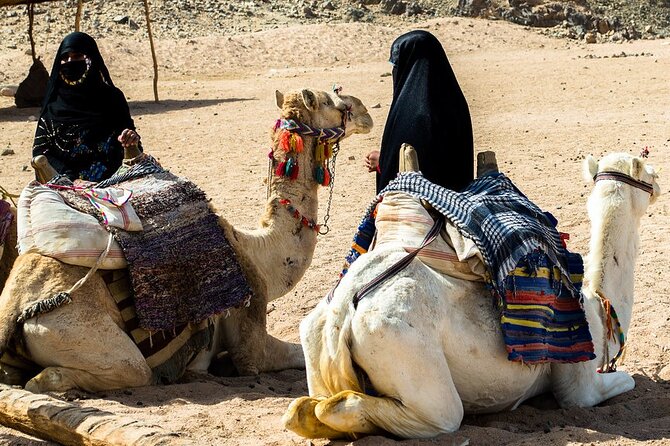 Double Buggy with Dinner, Camel Ride & Stargazing Sharm AlSheikh - Double buggy in Sharm el Sheikh: the appeal