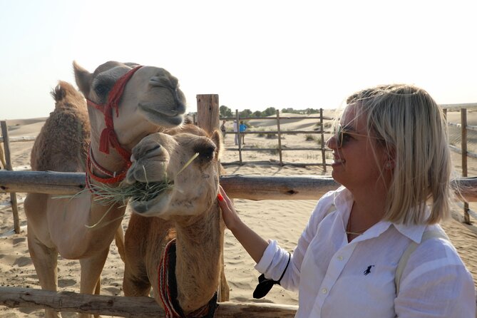 Dubai: Al Marmoom Oasis Vintage Safari: Camels, Stargazing & Meal - The Midday Desert Stop: Photos, Plants, and Wildlife Chances