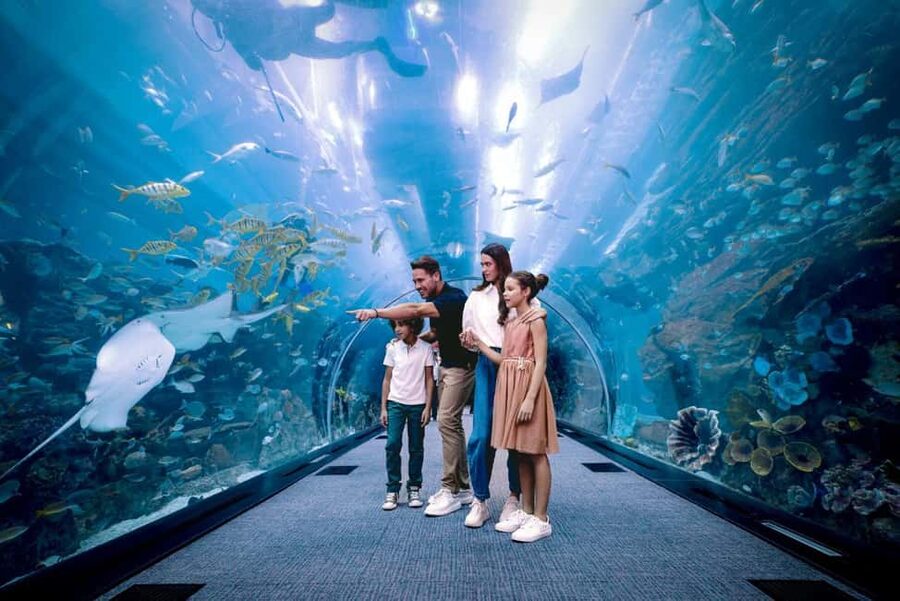 Dubai Aquarium + Sky Views Observatory Tickets - Sky Views Observatory: Glass Walk and skyline views built for height