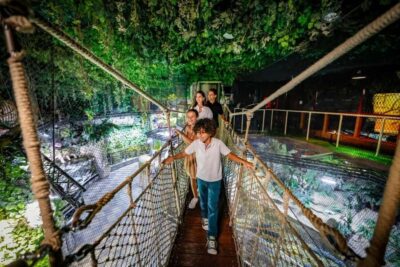 Dubai Aquarium + Sky Views Observatory Tickets - Rainforest, Penguin Cove, and Nursery: What each area adds to the day