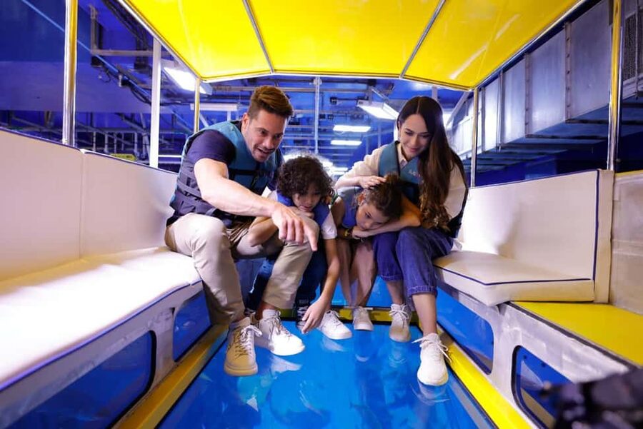 Dubai Aquarium + Sky Views Observatory Tickets - Glass Slide reality check: rules, restrictions, and what the ride feels like