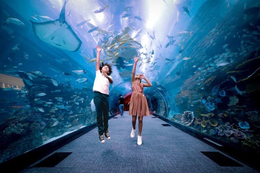 Dubai Aquarium + Sky Views Observatory Tickets - Photos, pricing, and the part you’ll want to budget for