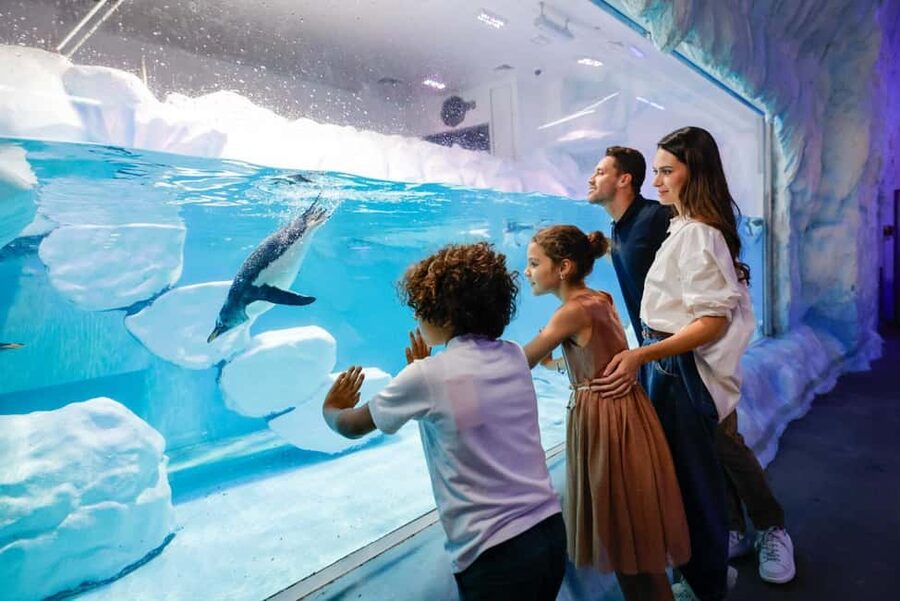 Dubai Aquarium + Sky Views Observatory Tickets - Price and value at around $95: what you’re really paying for
