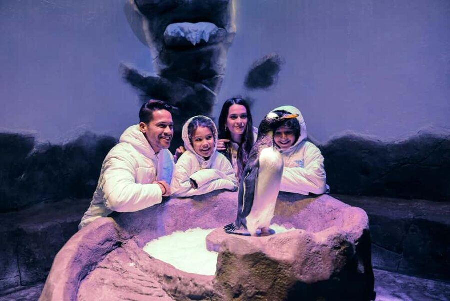 Dubai Aquarium + Sky Views Observatory Tickets - Who this combo suits best (and who should think twice)