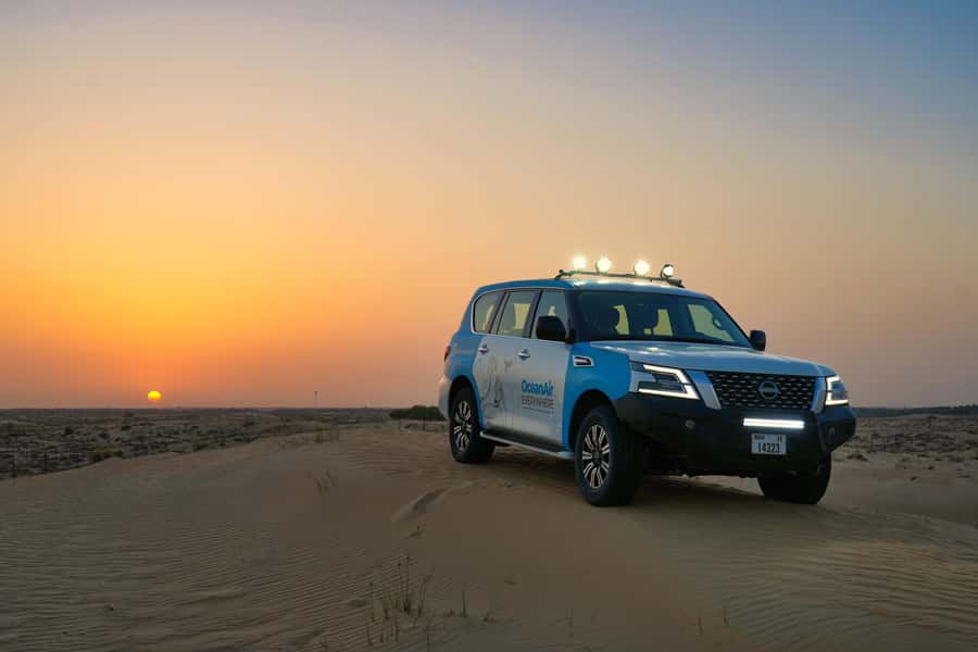 Dubai: Evening Desert Safari with Camel Ride & Stargazing - Key things that make this safari worth your time