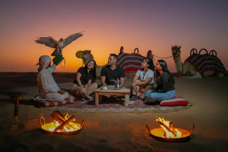 Dubai: Evening Desert Safari with Camel Ride & Stargazing - A desert safari that centers wildlife and the night sky